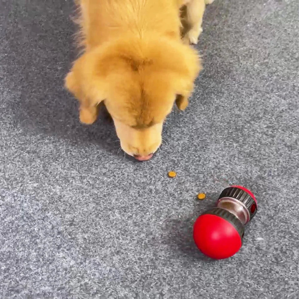 Dog Toy Slow Feeder Pet Improve IQ Indoor Training Puppy Toys Chihuahua Beagle For Small Medium Large Dogs Cats Pet Supplies